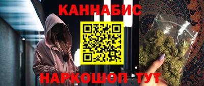 индика Моздок