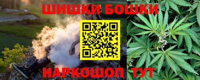 индика Моздок