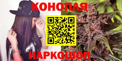 индика Моздок
