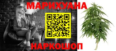 индика Моздок
