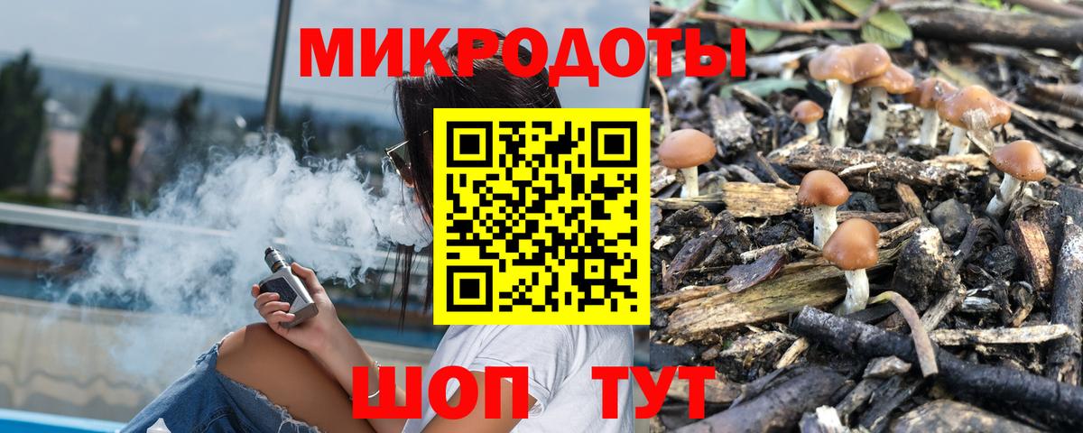 Выборг  Псилоцибиновые грибы Psilocybe  Вход с VPN 